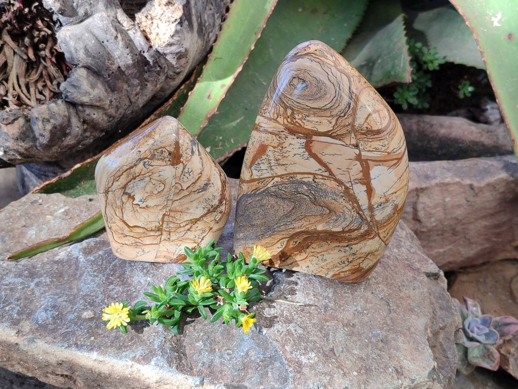 Polished Picture Stone Jasper Standing Free Forms x 2 From Northwest Coast, Madagascar - Toprock Gemstones and Minerals 