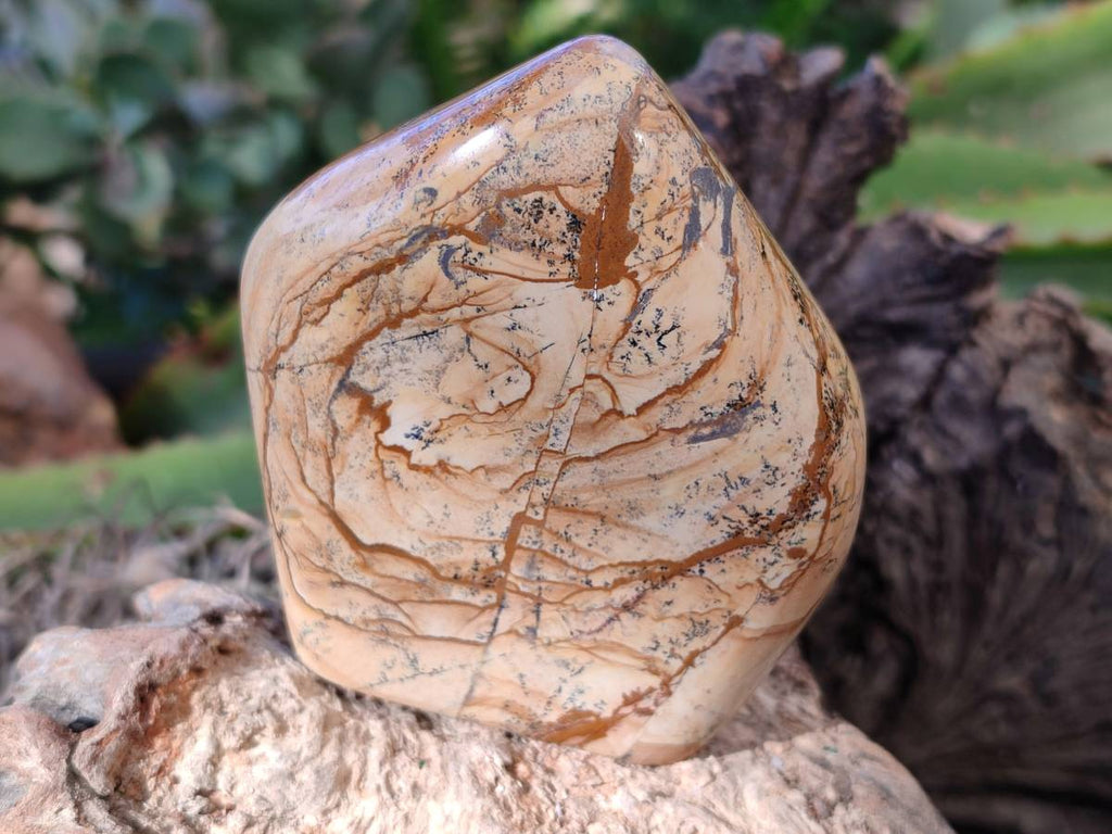 Polished Picture Stone Jasper Standing Free Forms x 2 From Northwest Coast, Madagascar - Toprock Gemstones and Minerals 