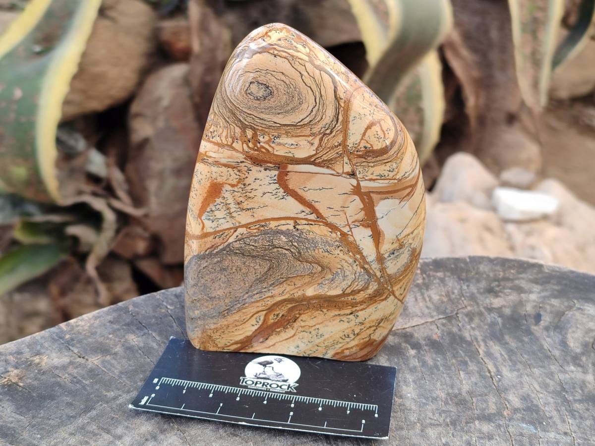 Polished Picture Stone Jasper Standing Free Forms x 2 From Northwest Coast, Madagascar - Toprock Gemstones and Minerals 