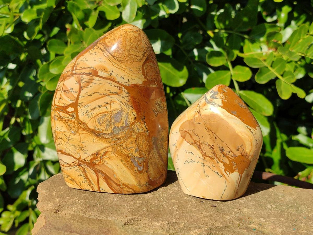 Polished Picture Stone Jasper Standing Free Forms x 2 From Northwest Coast, Madagascar - Toprock Gemstones and Minerals 