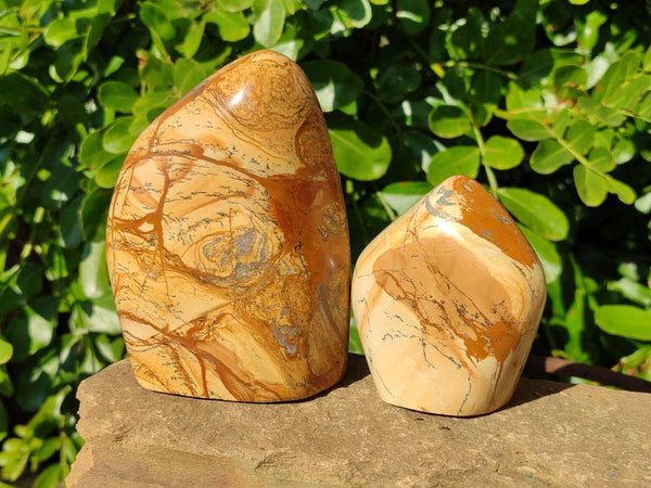 Polished Picture Stone Jasper Standing Free Forms x 2 From Northwest Coast, Madagascar