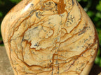 Polished Picture Stone Jasper Standing Free Forms x 2 From Northwest Coast, Madagascar - Toprock Gemstones and Minerals 