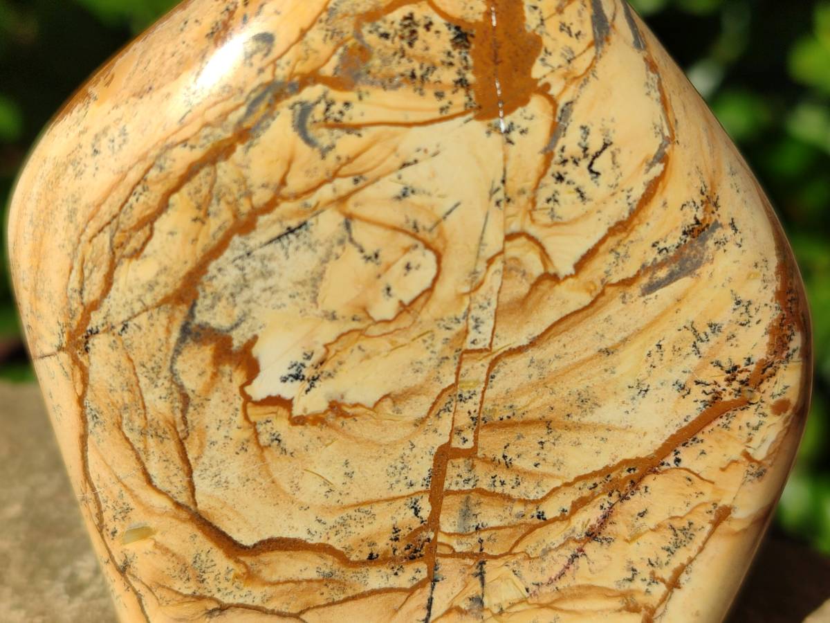 Polished Picture Stone Jasper Standing Free Forms x 2 From Northwest Coast, Madagascar - Toprock Gemstones and Minerals 