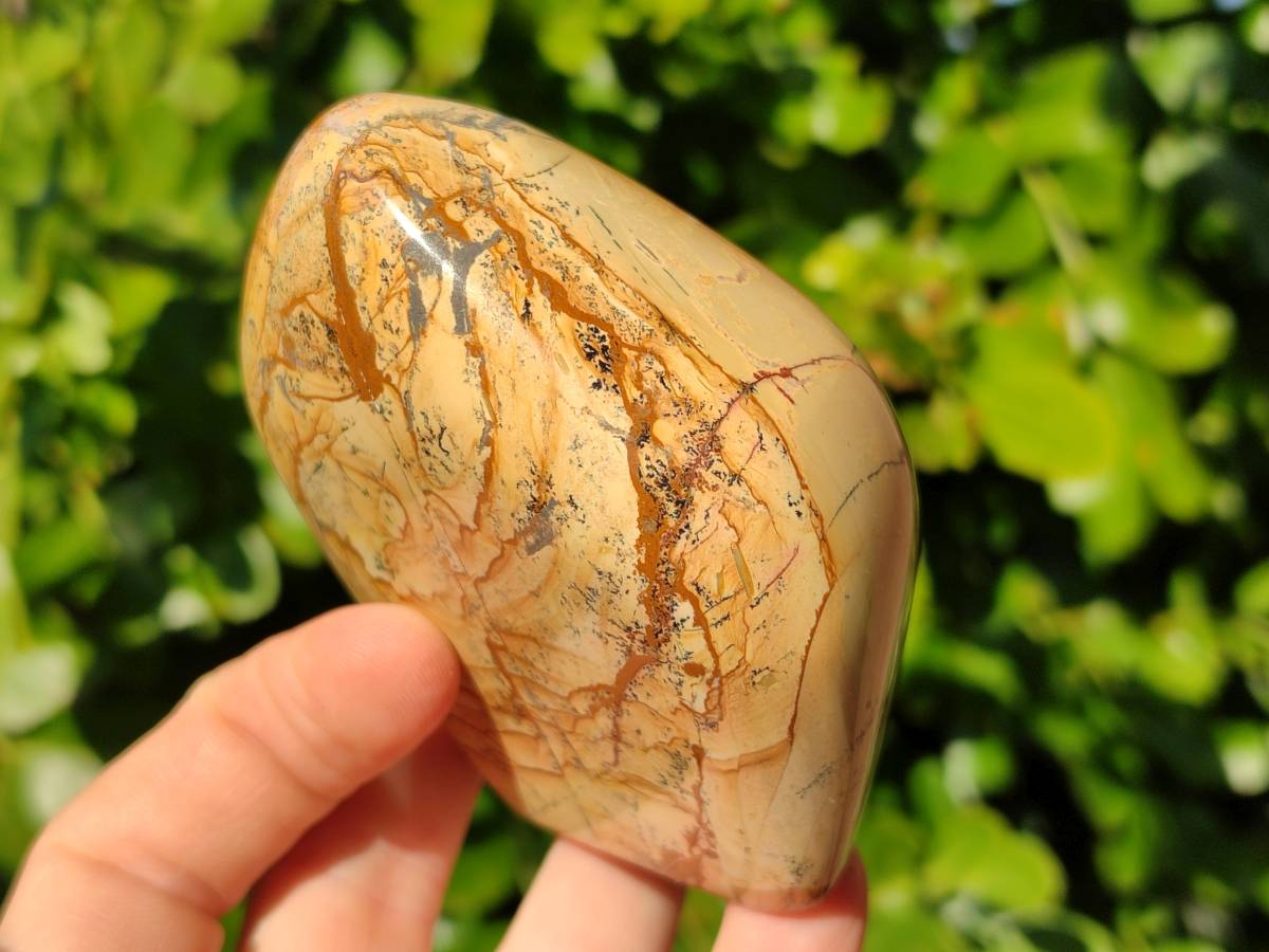 Polished Picture Stone Jasper Standing Free Forms x 2 From Northwest Coast, Madagascar - Toprock Gemstones and Minerals 
