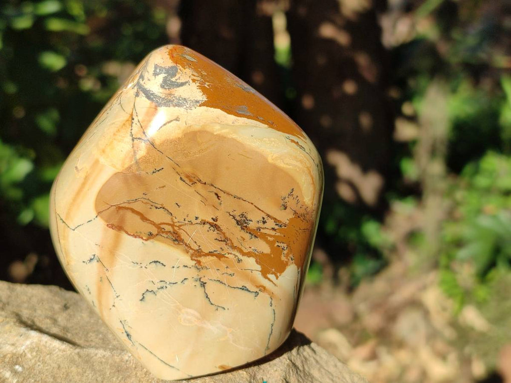 Polished Picture Stone Jasper Standing Free Forms x 2 From Northwest Coast, Madagascar - Toprock Gemstones and Minerals 