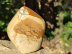 Polished Picture Stone Jasper Standing Free Forms x 2 From Northwest Coast, Madagascar - Toprock Gemstones and Minerals 