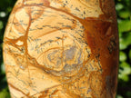 Polished Picture Stone Jasper Standing Free Forms x 2 From Northwest Coast, Madagascar - Toprock Gemstones and Minerals 