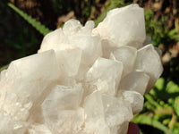 Natural White Multi Terminated Candle Quartz Clusters x 3 From Madagascar