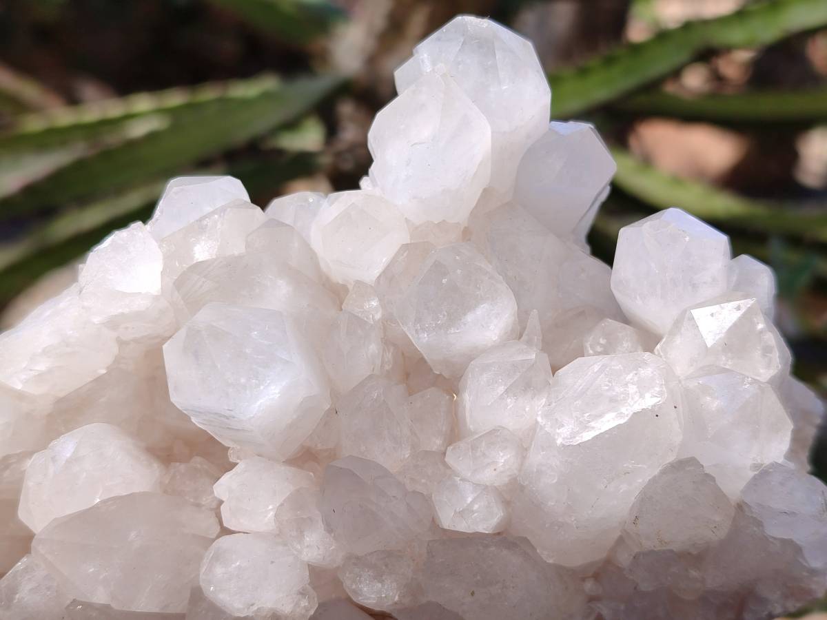 Natural White Multi Terminated Candle Quartz Clusters x 3 From Madagascar - Toprock Gemstones and Minerals 