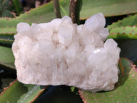 Natural White Multi Terminated Candle Quartz Clusters x 3 From Madagascar