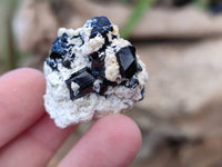Natural Schorl Black Tourmaline Specimens x 35 From Erongo, Namibia - Toprock Gemstones and Minerals 