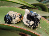 Natural Schorl Black Tourmaline Specimens x 35 From Erongo, Namibia - Toprock Gemstones and Minerals 
