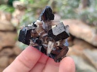 Natural Schorl Black Tourmaline Specimens x 35 From Erongo, Namibia - Toprock Gemstones and Minerals 