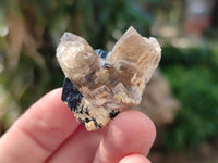 Natural Schorl Black Tourmaline Specimens x 35 From Erongo, Namibia - Toprock Gemstones and Minerals 