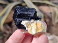 Natural Schorl Black Tourmaline Specimens x 35 From Erongo, Namibia - Toprock Gemstones and Minerals 
