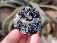 Natural Schorl Black Tourmaline Specimens x 35 From Erongo, Namibia - Toprock Gemstones and Minerals 