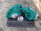 Natural Dioptase on Dolomite Matrix Specimens x 6 From Likasi, Congo - Toprock Gemstones and Minerals 