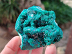 Natural Dioptase on Dolomite Matrix Specimens x 6 From Likasi, Congo - Toprock Gemstones and Minerals 