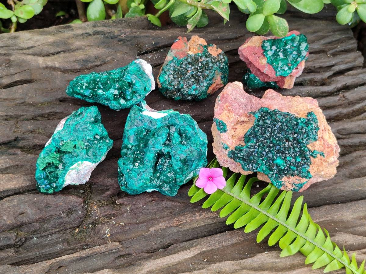 Natural Dioptase on Dolomite Matrix Specimens x 6 From Likasi, Congo - Toprock Gemstones and Minerals 