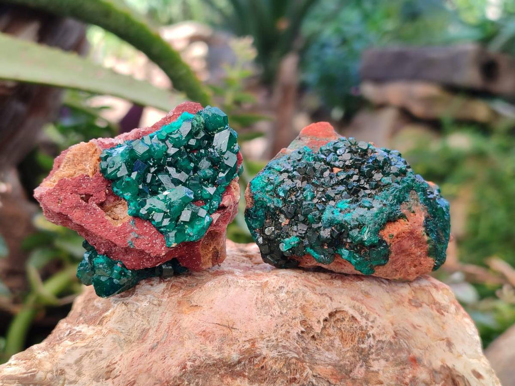 Natural Dioptase on Dolomite Matrix Specimens x 6 From Likasi, Congo - Toprock Gemstones and Minerals 