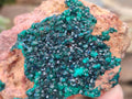 Natural Dioptase on Dolomite Matrix Specimens x 6 From Likasi, Congo - Toprock Gemstones and Minerals 