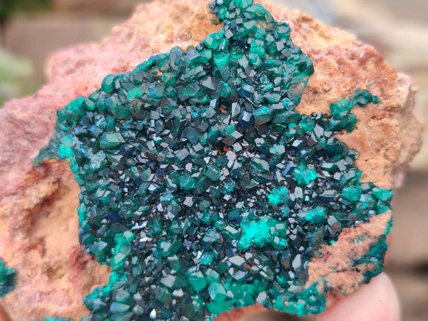 Natural Dioptase on Dolomite Matrix Specimens x 6 From Likasi, Congo
