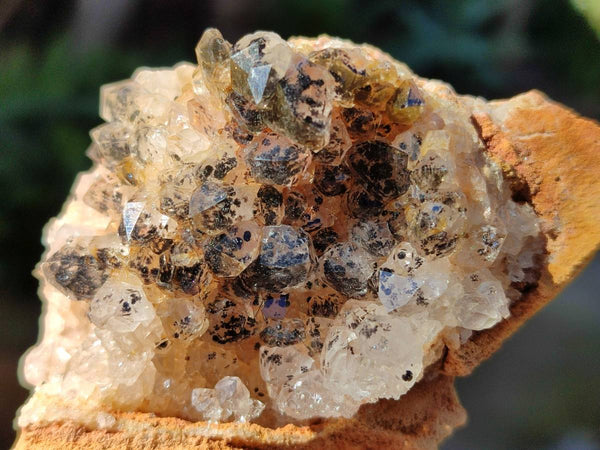 Natural Golden Limonite Quartz Clusters x 14 From Solwezi, Zambia