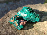 Natural Dioptase on Dolomite Matrix Specimens x 20 From Likasi, Congo