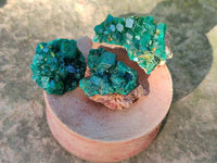 Natural Dioptase on Dolomite Matrix Specimens x 20 From Likasi, Congo