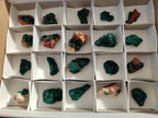 Natural Dioptase on Dolomite Matrix Specimens x 20 From Likasi, Congo - Toprock Gemstones and Minerals 