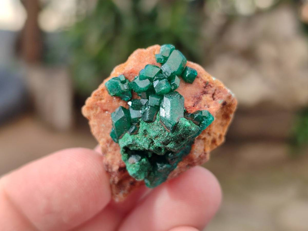 Natural Dioptase on Dolomite Matrix Specimens x 20 From Likasi, Congo - Toprock Gemstones and Minerals 