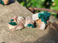 Natural Dioptase on Dolomite Matrix Specimens x 20 From Likasi, Congo