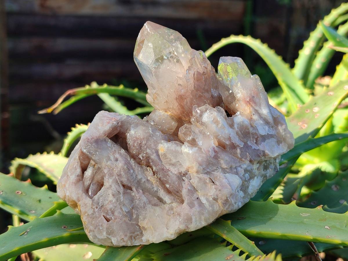 Natural Phantom Cascading Smokey Quartz Clusters x 4 From Luena, Congo - Toprock Gemstones and Minerals 