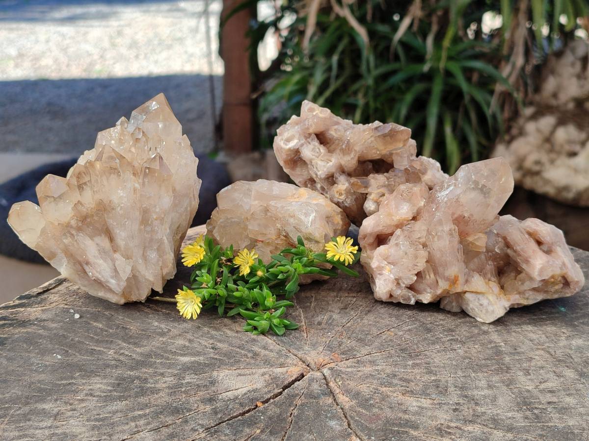 Natural Phantom Cascading Smokey Quartz Clusters x 4 From Luena, Congo - Toprock Gemstones and Minerals 