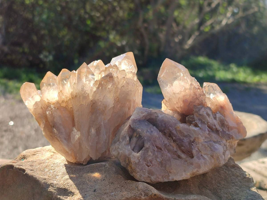 Natural Phantom Cascading Smokey Quartz Clusters x 4 From Luena, Congo - Toprock Gemstones and Minerals 