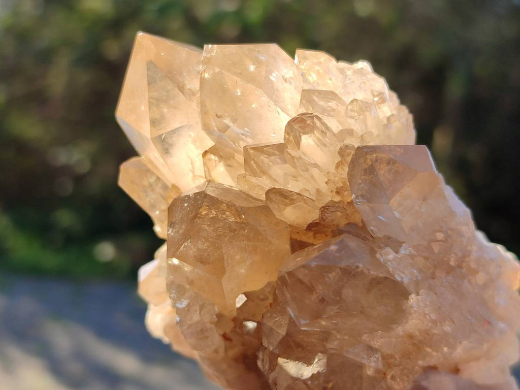 Natural Phantom Cascading Smokey Quartz Clusters x 4 From Luena, Congo - Toprock Gemstones and Minerals 