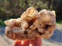 Natural Phantom Cascading Smokey Quartz Clusters x 4 From Luena, Congo - Toprock Gemstones and Minerals 