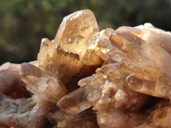 Natural Phantom Cascading Smokey Quartz Clusters x 4 From Luena, Congo