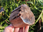 Polished Petrified Wood Branch Pieces x 3 From Gokwe, Zimbabwe - Toprock Gemstones and Minerals 
