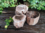 Polished Petrified Wood Branch Pieces x 3 From Gokwe, Zimbabwe - Toprock Gemstones and Minerals 