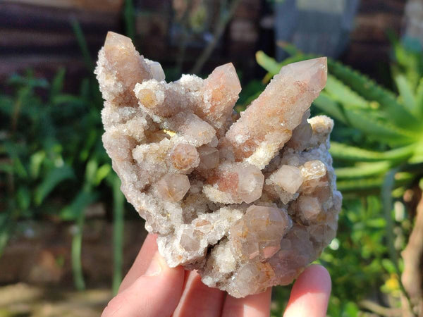 Natural Fairy Spirit Quartz Clusters x 4 From Boekenhouthoek, South Africa