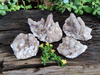 Natural Fairy Spirit Quartz Clusters x 4 From Boekenhouthoek, South Africa