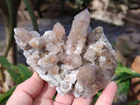 Natural Fairy Spirit Quartz Clusters x 4 From Boekenhouthoek, South Africa