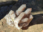 Natural Fairy Spirit Quartz Clusters x 4 From Boekenhouthoek, South Africa - Toprock Gemstones and Minerals 