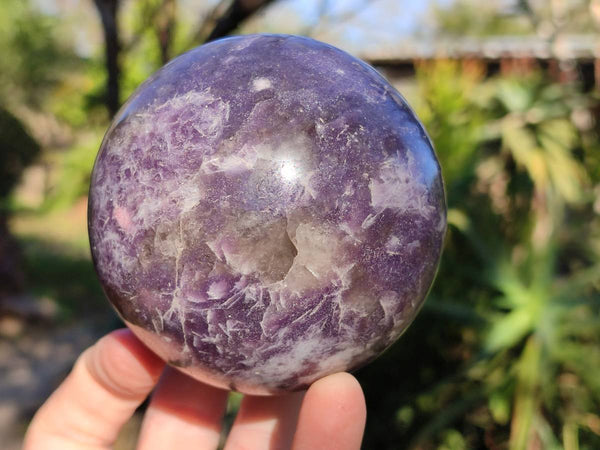 Polished Lepidolite with Pink Rubellite Spheres x 2 From Ambatondrazaka, Madagascar