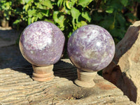 Polished Lepidolite with Pink Rubellite Spheres x 2 From Ambatondrazaka, Madagascar - Toprock Gemstones and Minerals 