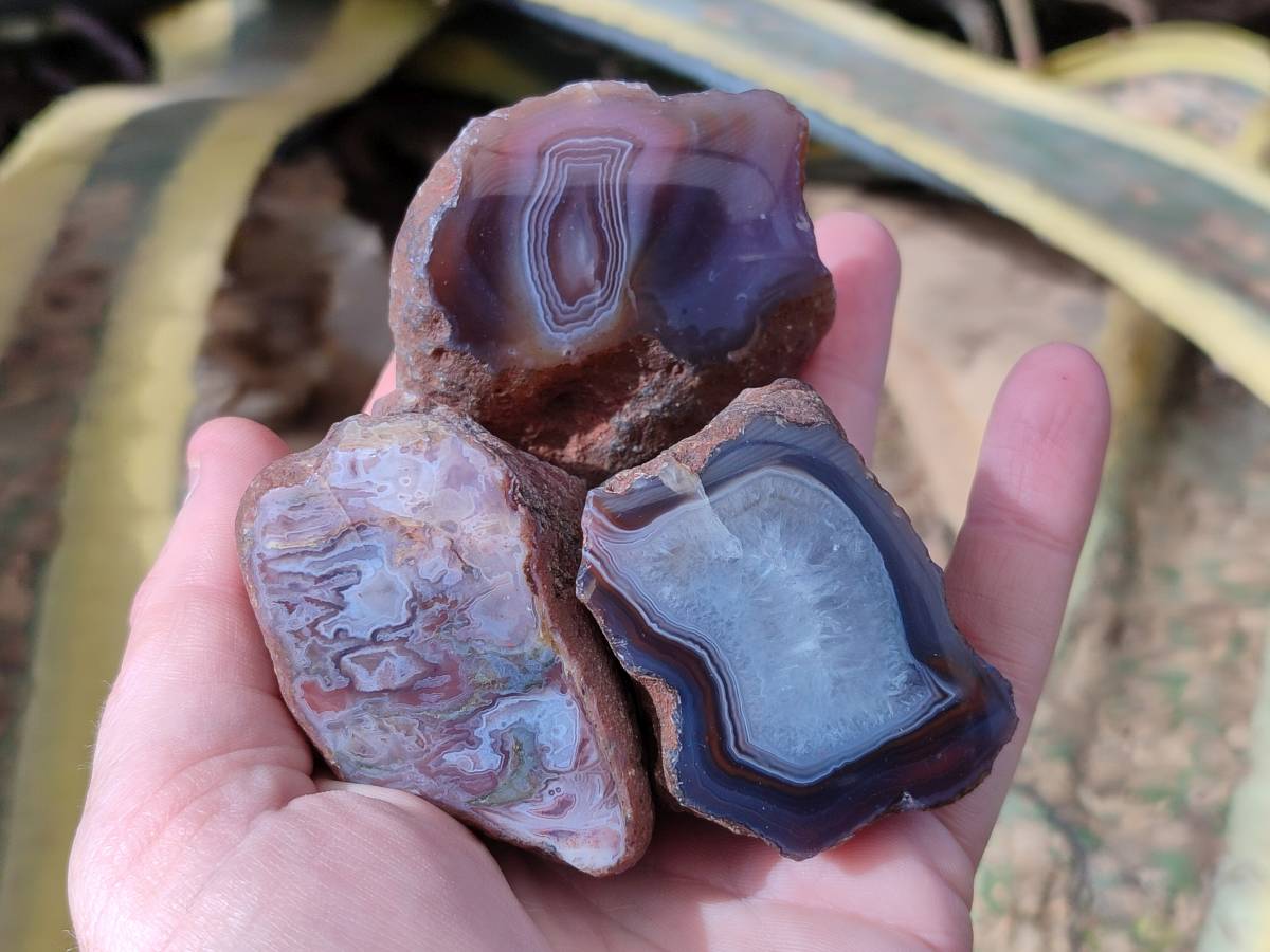 Polished On One Side Red Sashe River Agate Nodules x 24 From Zimbabwe - Toprock Gemstones and Minerals 