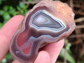 Polished On One Side Red Sashe River Agate Nodules x 24 From Zimbabwe - Toprock Gemstones and Minerals 