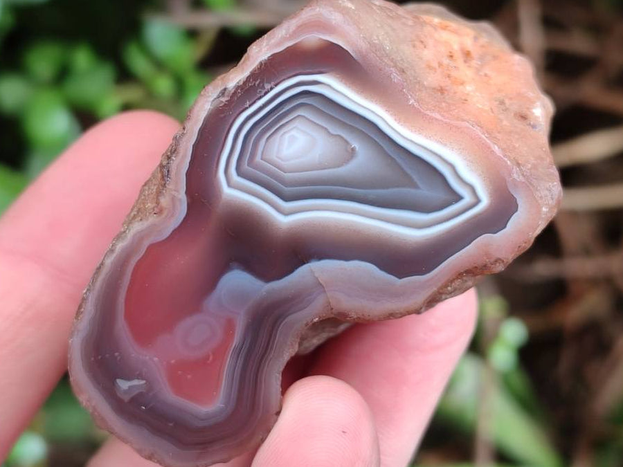 Polished On One Side Red Sashe River Agate Nodules x 24 From Zimbabwe - Toprock Gemstones and Minerals 