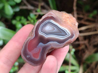 Polished On One Side Red Sashe River Agate Nodules x 24 From Zimbabwe
